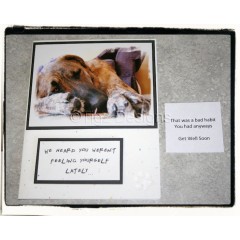 Get Well Comical Pet Greeting Card - Made in BC